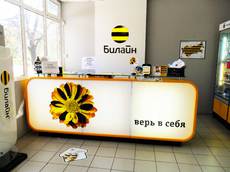 beeline_3.jpg